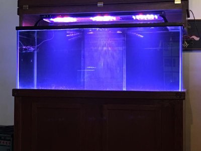 IMG_0263.jpg