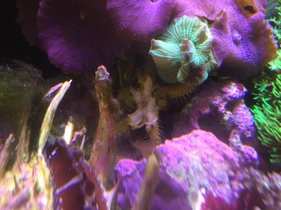 IMG_3008.jpg