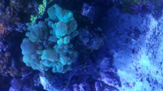 20160711_195714.jpg