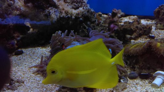 IMAG0100 [78243].jpg