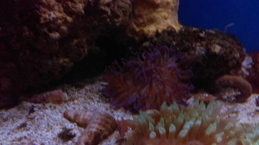 IMAG0108 [78251].jpg