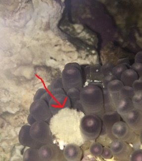 FullSizeRender (1).jpg