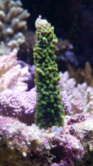 20160610_223238.jpg