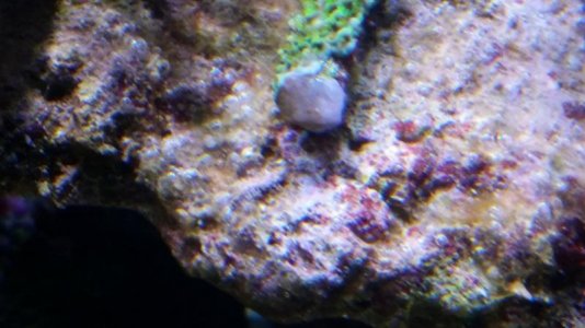 20160610_223215.jpg