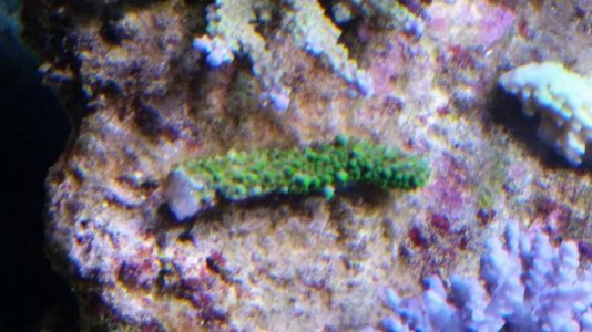 20160610_223207.jpg