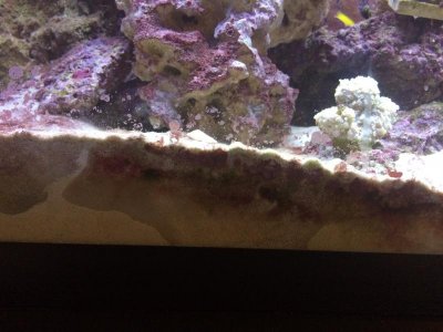 IMG_7927.jpg IMG_7927.jpg