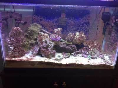 IMG_7928.jpg IMG_7928.jpg