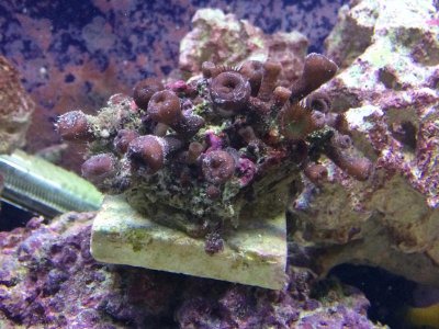 IMG_7930.jpg IMG_7930.jpg