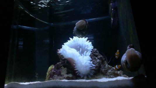 2016-07-15 19-25-25.626.jpg