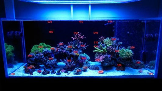 Original Shot with 100 Percent LED.jpg