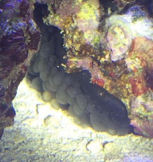 IMG_0527.jpg