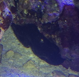IMG_0530.jpg