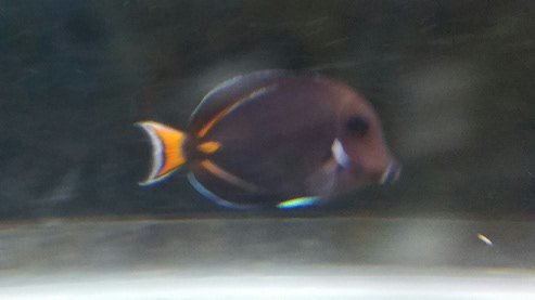 2016-07-17 14.39.03.jpg