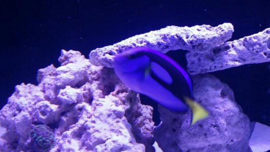 2016-07-17 14.38.29.jpg