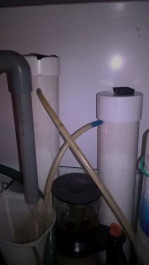 WP_20160316_21_10_16_Rich_LI.jpg