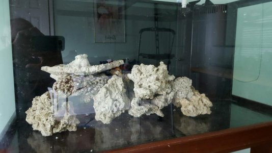 frontview.jpg frontview.jpg