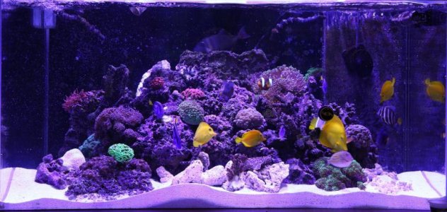 TANK-MEDIUM-SIZE - 3.jpg