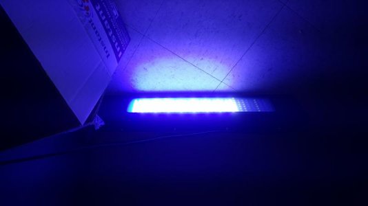 20160718_152658.jpg