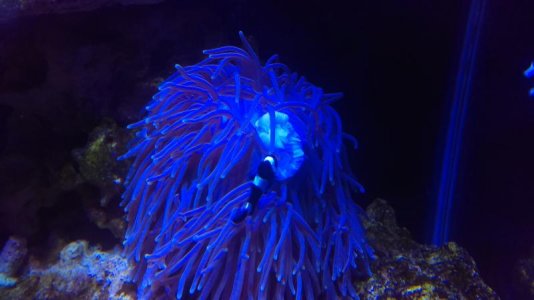 IMAG0112 [84519].jpg