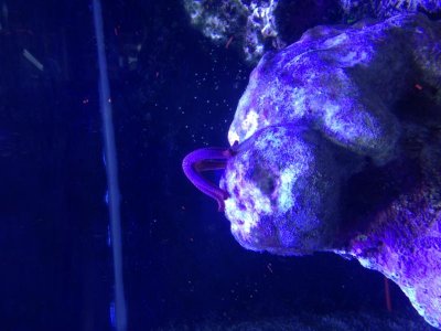 IMG_3789.jpg IMG_3789.jpg