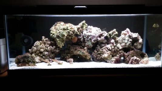 20160616_205350.jpg 20160616_205350.jpg