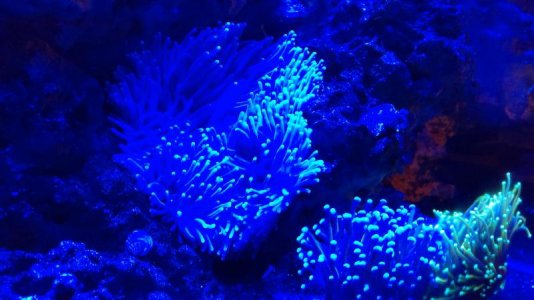 IMAG0156 [19699].jpg