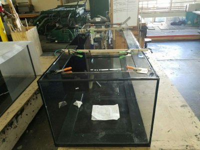 Tank Left Side.jpg