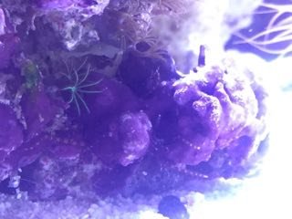 Image1469140329.790241.jpg