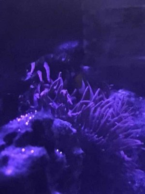 IMG_0526.JPG IMG_0526.JPG