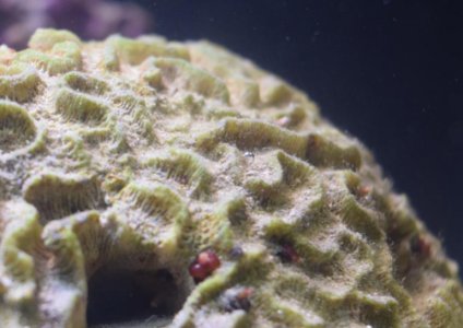 2016-06-18 21.33.33.jpg