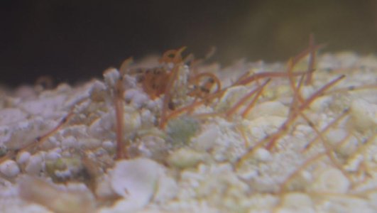 2016-06-18 21.32.37.jpg