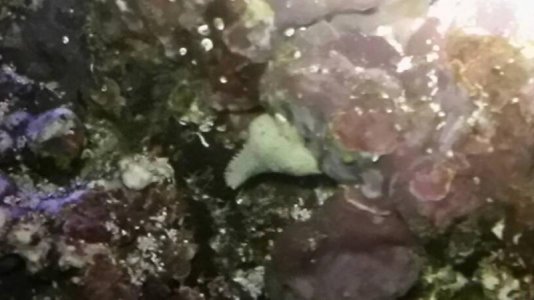 uploadfromtaptalk1466311571252.jpg uploadfromtaptalk1466311571252.jpg