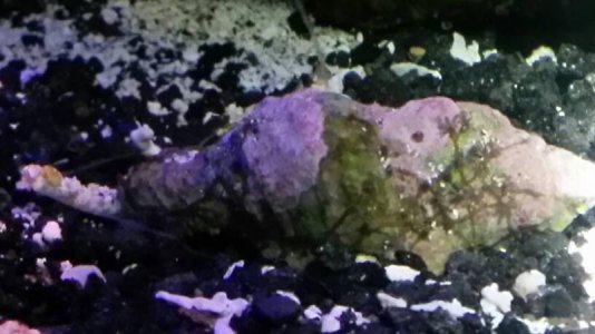 uploadfromtaptalk1466311599366.jpg uploadfromtaptalk1466311599366.jpg