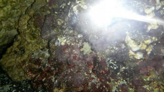 uploadfromtaptalk1466335012417.jpg uploadfromtaptalk1466335012417.jpg