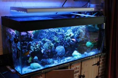 tank2.jpg