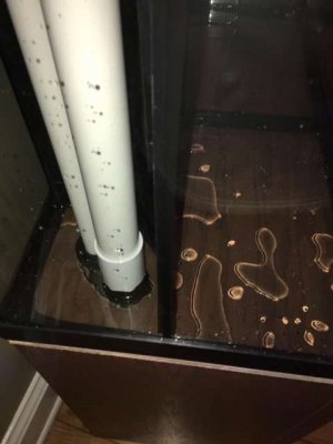 IMG_0534.JPG IMG_0534.JPG