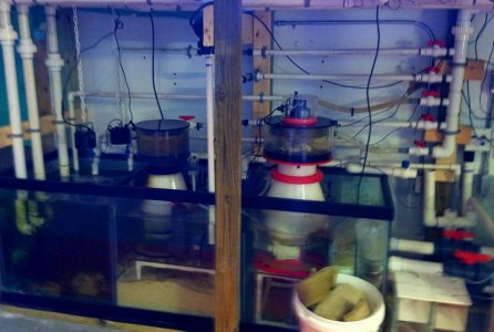 2016-07-24_08-17-54.jpg