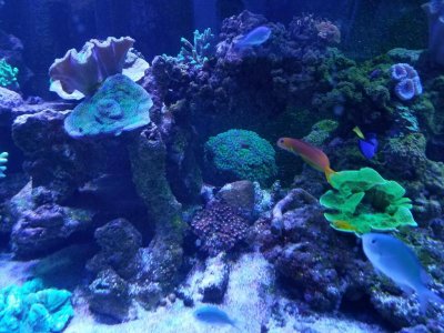 2016-07-24_08-20-09.jpg