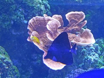 2016-07-24_08-18-59.jpg
