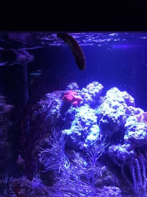 IMG_rock.jpg