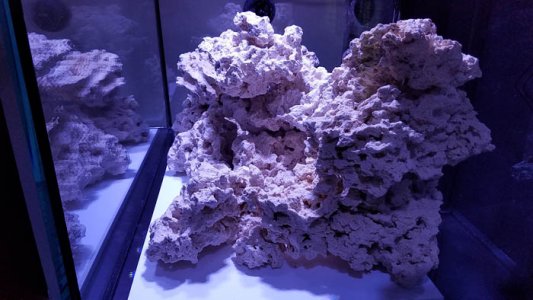 20160725_070812 copy.jpg