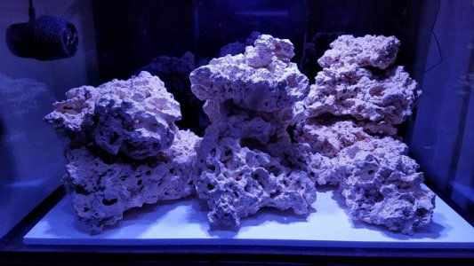 20160725_070757 copy.jpg