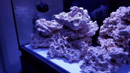 20160725_070803 copy.jpg