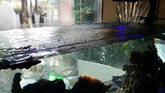 uploadfromtaptalk1466554946310.jpg uploadfromtaptalk1466554946310.jpg