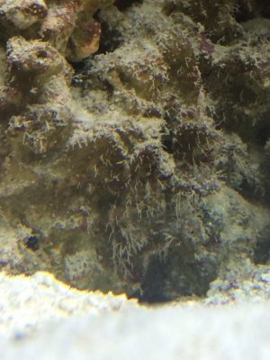 Image1466564937.829636.jpg Image1466564937.829636.jpg