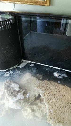 saltfoam.jpg saltfoam.jpg