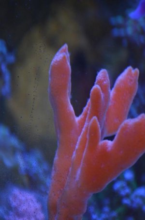 DSC_0014.jpg