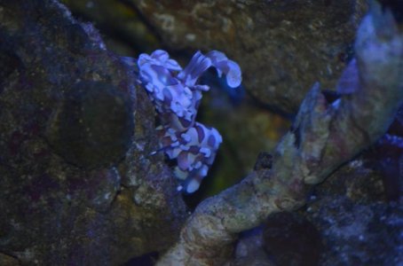 DSC_0013.jpg