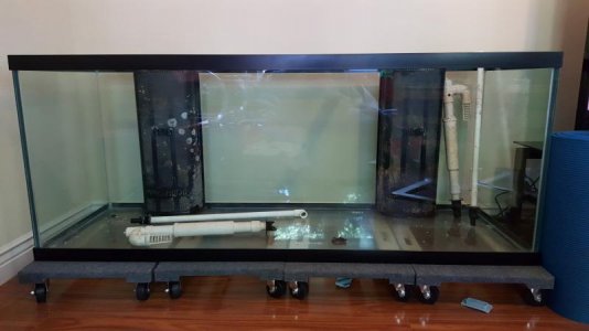 20160622_164156.jpg