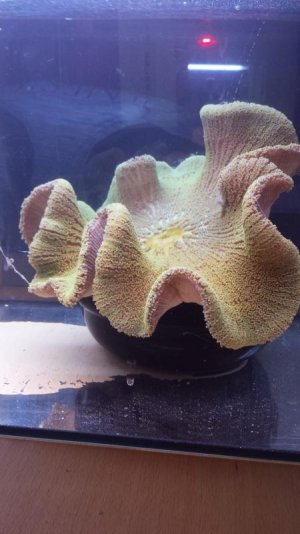 2016-06-23 08.44.13.jpg